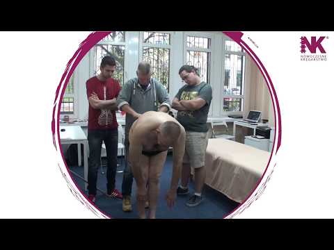 Co mięśnie pracują z grupami Dips Kulturystyka konkurs Mr. Olympia