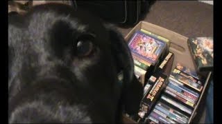 MY ORIGINAL BOXED GAME COLLECTION - FOR SALE, ...POSSIBLY.