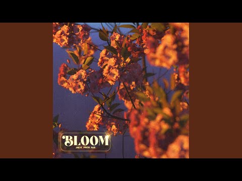 Bloom