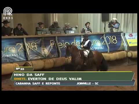 Classificatória Região Sul – 2° lugar machos – Hino da Saff (Prova: Mangueira II)