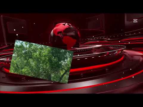 Welcome to MHAT News Network