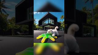 Download lagu kucing lucu makan gummy laba2 ulat cicak warna hijau kuning #catcute #funny #shorts mp3