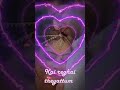 Thavam Indri Kidaitha Varame Song Love Whatsapp Status Video Lyricly Status Videos
