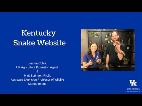 Kentucky Snake Website