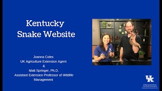 Kentucky Snake Website