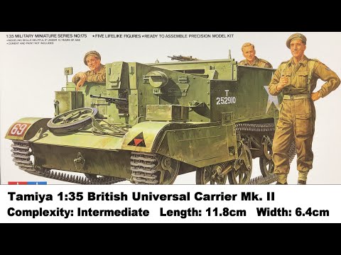 CBD for Cats Video Preview