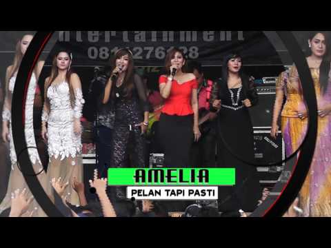 AMELIA DERMOLO - PANTU CINTA SELI PRAWOTO