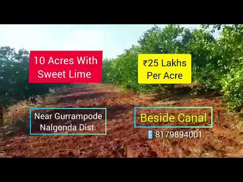 10 Acres #Land with #Mosambi #బత్తాయి #తోట Near #Sagarhighway #Nalgondadistrict 📱8179894001