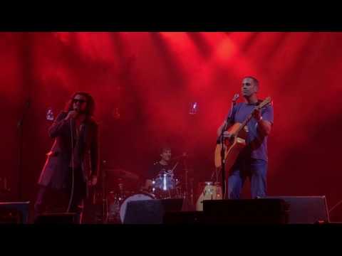 Rocky Racoon video