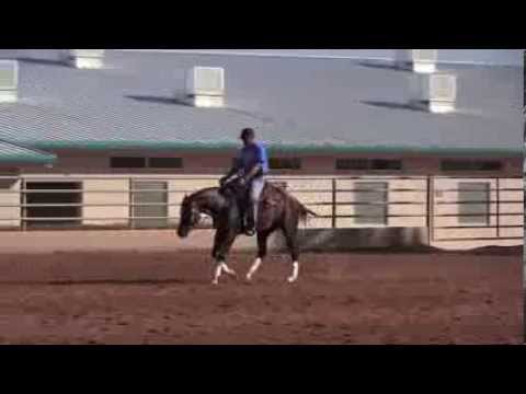 Pinesail Jac and Andrea Fappani