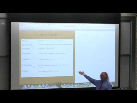 #1 BB 350 Introduction - Kevin Ahern's Biochemistry Online (Introductions)