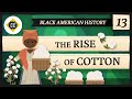 The Rise Of Cotton Crash Course Black American History 13