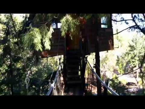 One Tree Treehouse