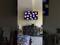 Opening To Arthur S Storybook 2001 VHS