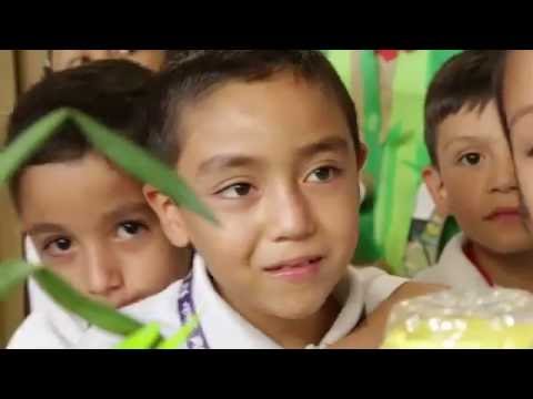 Help 650 At-Risk Children in Mexico Stay in School