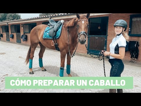 , title : 'Cómo preparar un caballo || Tutorial'