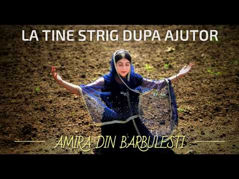 Amira din Barbulesti - La tine strig dupa ajutor