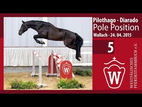 05 Pole Position  Wallach v. Pilothago - Diarado
