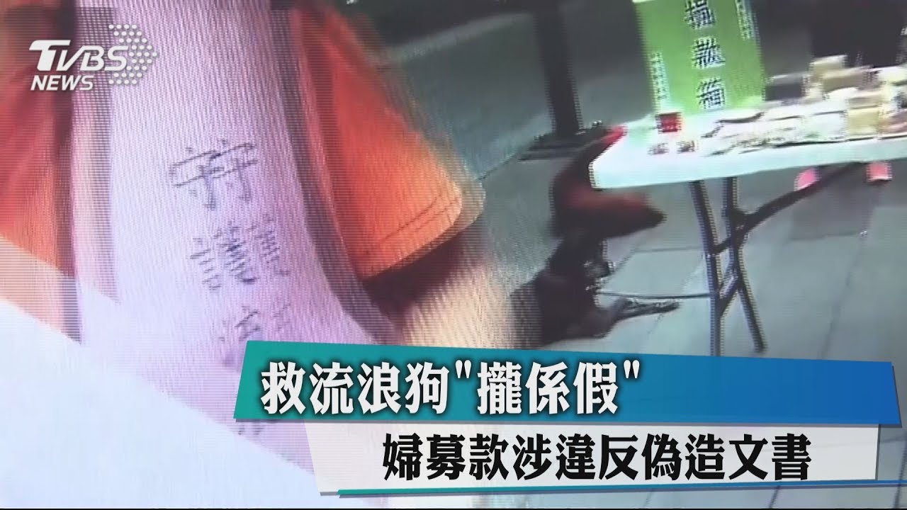 救流浪狗「攏係假」 婦募款涉違反偽造文書