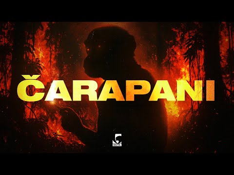 KZA - ČARAPANI