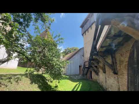 Alma Vii, vizita cu muzica de orga