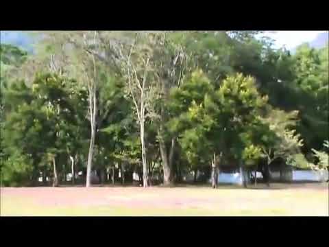 Cuando Muera yo / Sergio Carcamo