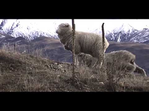 4bi9 Media:Lets Ride New Zealand