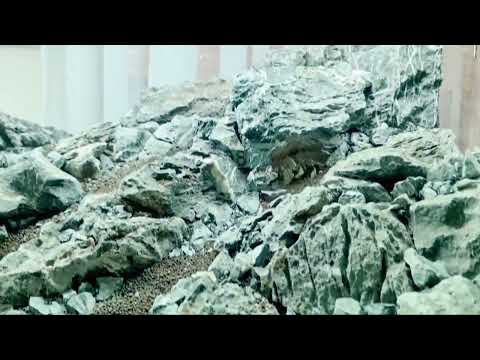 Client's 120 cm Seiryu Rocks Scape