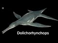 Sea Monsters A Prehistoric Adventure All Creatures