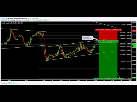 Cryptocurrency, Forex and Stock Webinar and Weekly Market Outlook from 23 to 27 October 2017