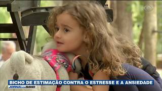 Miniatura do vídeo