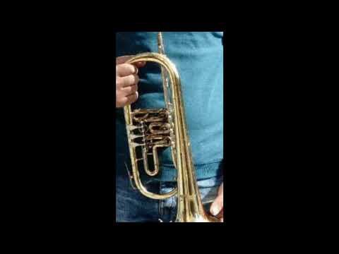 Trubacki orkestar Miroljuba Mira Kremic Uzivo Instrumental suita.