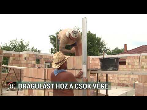 a giardiasis csók révén terjed 2 méregtelenítési szakasz