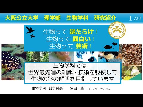 公共経営学科 2025オープンキャンパス 大阪公立大学 理学部 生物学科 研究室紹介
