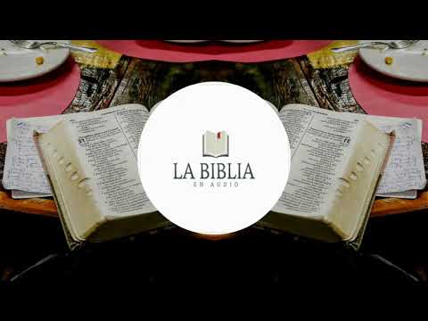 📖🔊LEVÍTICO: 26/ 27/🎶🔊LA BIBLIA EN AUDIO[REINA VALERA 1960]🔊