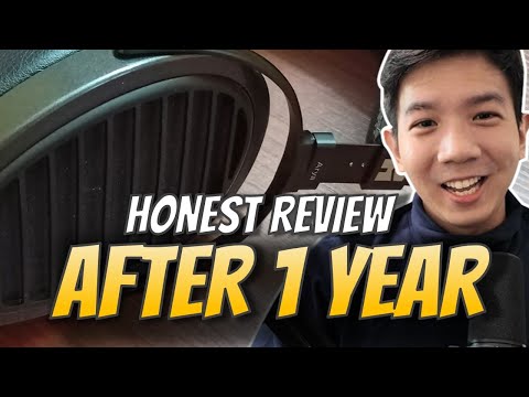 Hifiman Arya Stealth Magnet Honest Review : 1 Year After Use ...