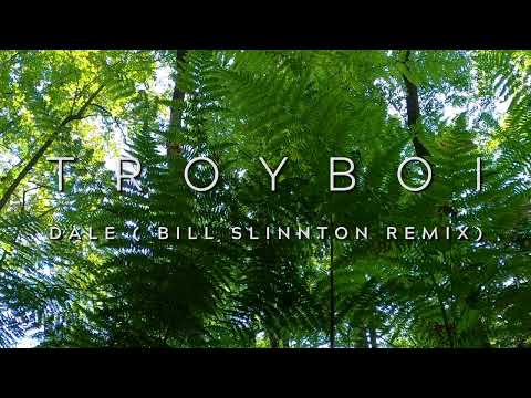 Troyboi - Dale (Bill Slinnton Remix)