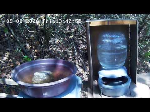Live Webcam View - Bird water trough in Tecpán Guatemala, Chimaltenango