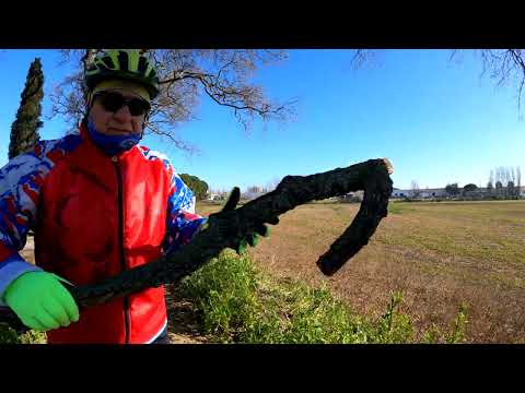 🚴🚴L'incredibile pista ciclabile in versione invernale.