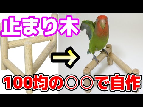 ペルカフラベセンス