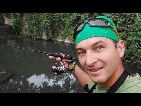 Spinning fishing. I caught THREE SPECIES💥