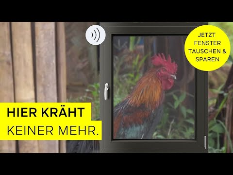 WERU Aktion | Knaller Fenster Upgrade