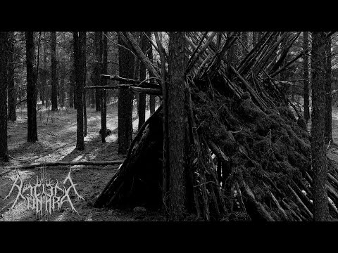 Ancient Tundra - All Light Has Since Escaped Me (Atmospheric Black Metal)