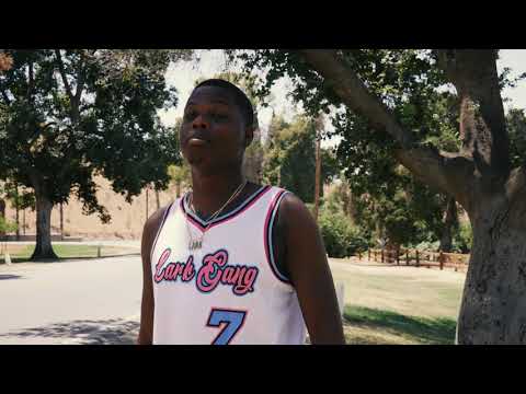 $ip SkyLark   Why Did I Official Music Video