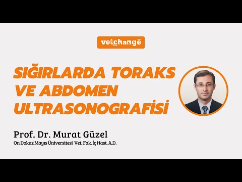 , title : '''Sığırlarda Toraks ve Abdomen Ultrasonografisi" Prof. Dr. Murat Güzel'
