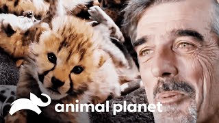 Thumbnail del capítulo