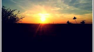 Carter Burwell - A Nova Vida