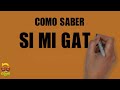 CÓMO SABER SI MI GATO TIENE RABIA