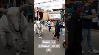 Download lagu domba domba kuring 🐏 #shorts #shortsvideo mp3