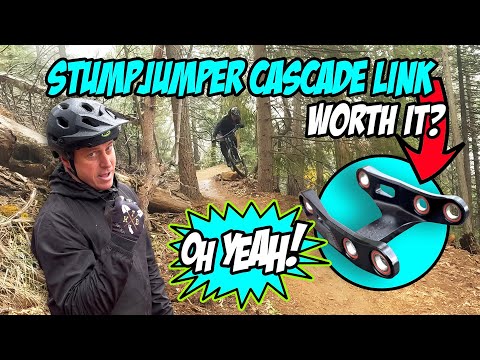 Stumpjumper Comp Alloy Leveled Up!!!  Cascade Link Unleashed